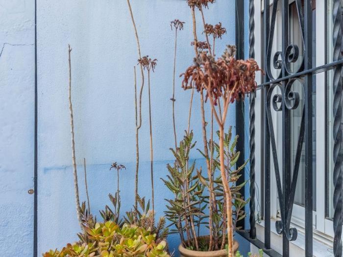 Appartement Apartamento Susillo Vacacional